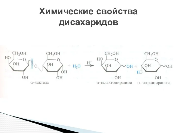 Химические свойства дисахаридов