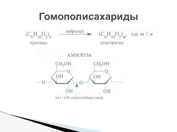 Гомополисахариды