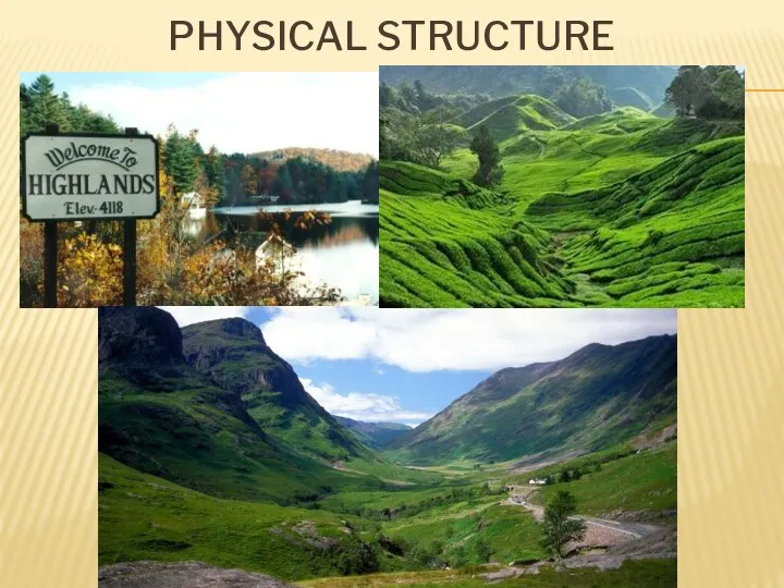 PHYSICAL STRUCTURE