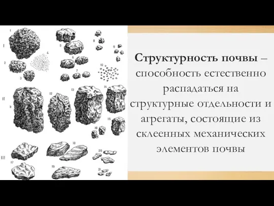 Структурность почвы – способность естественно распадаться на структурные отдельности и