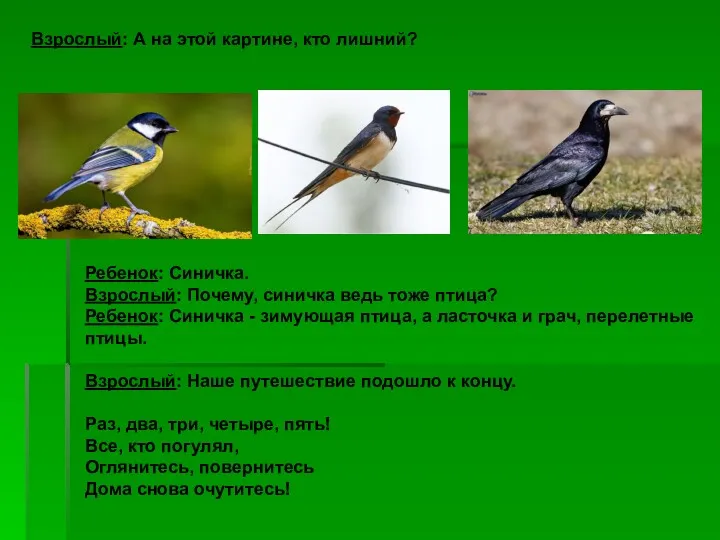 Взрослый: А на этой картине, кто лишний? Ребенок: Синичка. Взрослый: