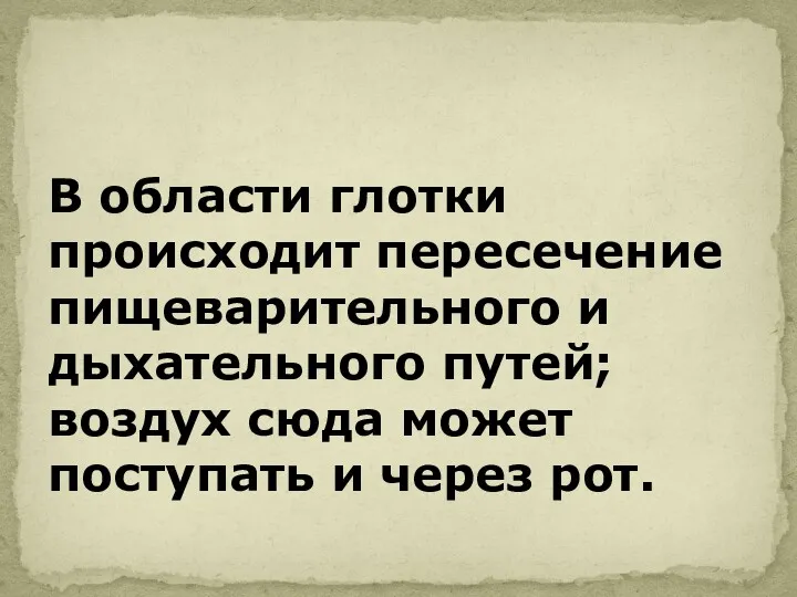 В области глотки происходит пересечение пищеварительного и дыхательного путей; воздух сюда может поступать и через рот.