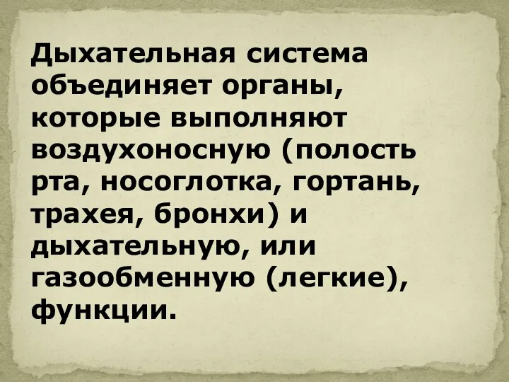 Дыхательная система объединяет органы, которые выполняют воздухоносную (полость рта, носоглотка,