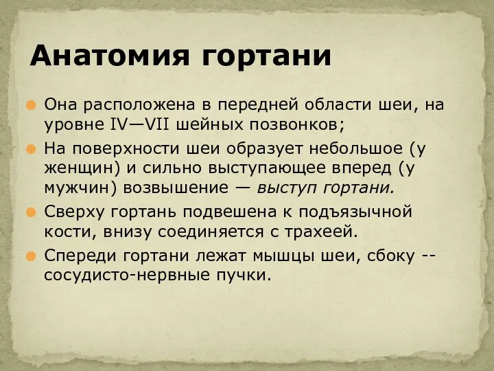 Она расположена в передней области шеи, на уровне IV—VII шейных