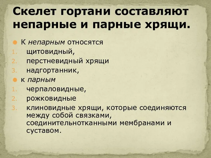 К непарным относятся щитовидный, перстневидный хрящи надгортанник, к парным черпаловидные,