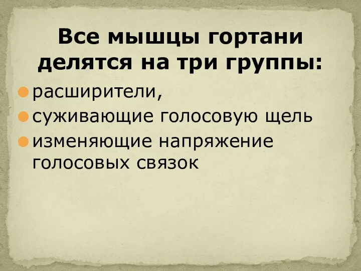 расширители, суживающие голосовую щель изменяющие напряжение голосовых связок Все мышцы гортани делятся на три группы: