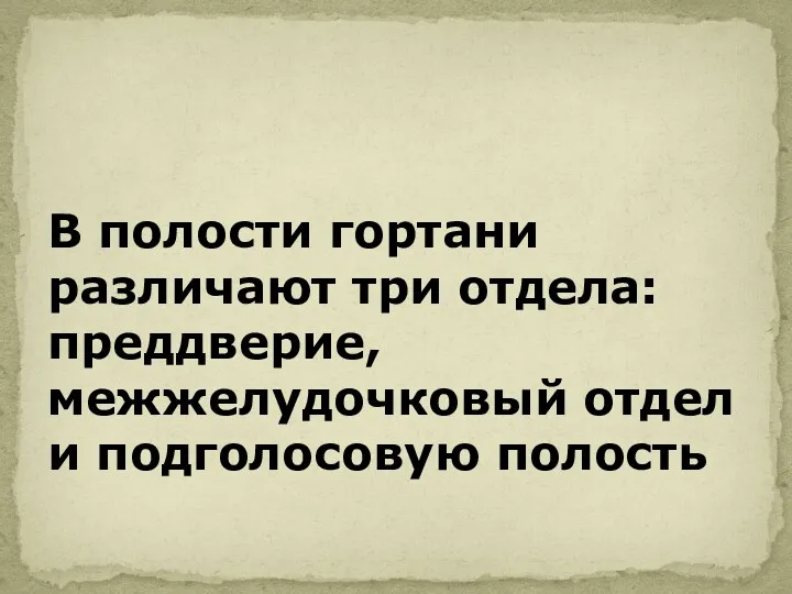 В полости гортани различают три отдела: преддверие, межжелудочковый отдел и подголосовую полость