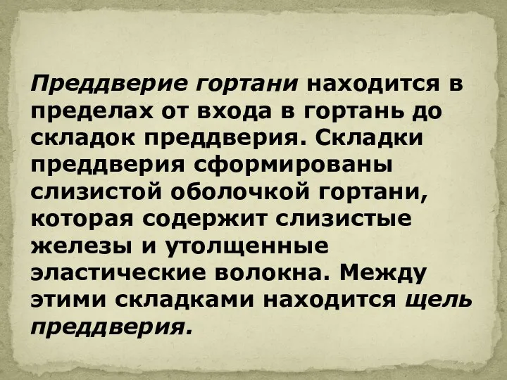 Преддверие гортани находится в пределах от входа в гортань до