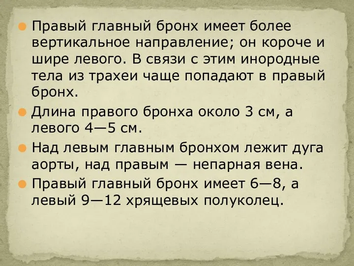 Правый главный бронх имеет более вертикальное направление; он короче и