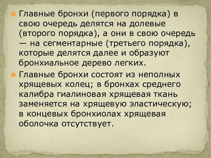 Главные бронхи (первого порядка) в свою очередь делятся на долевые