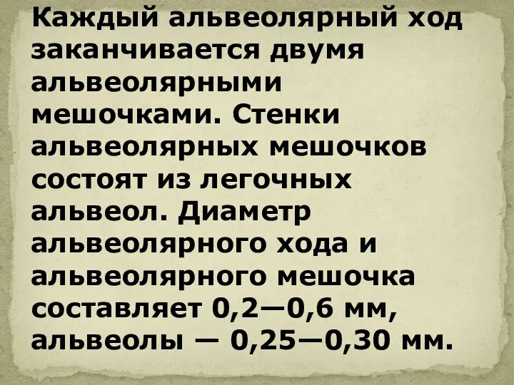 Каждый альвеолярный ход заканчивается двумя альвеолярными мешочками. Стенки альвеолярных мешочков