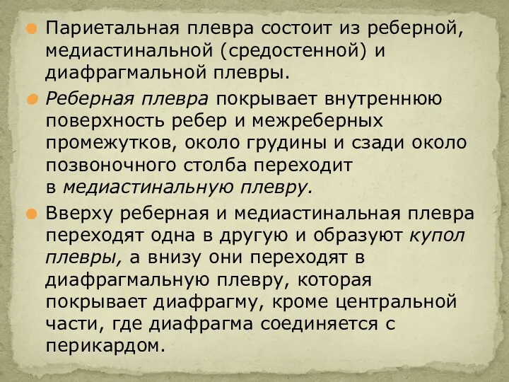 Париетальная плевра состоит из реберной, медиастинальной (средостенной) и диафрагмальной плевры.