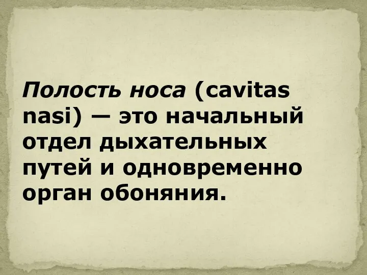 Полость носа (cavitas nasi) — это начальный отдел дыхательных путей и одновременно орган обоняния.