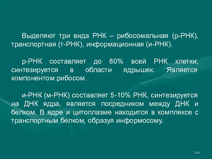 Выделяют три вида РНК – рибосомальная (р-РНК), транспортная (т-РНК), информационная