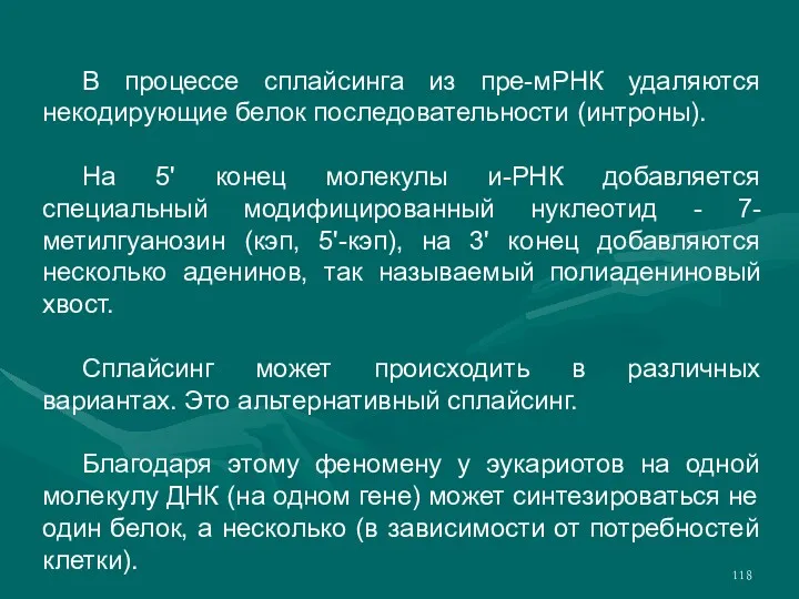 В процессе сплайсинга из пре-мРНК удаляются некодирующие белок последовательности (интроны).