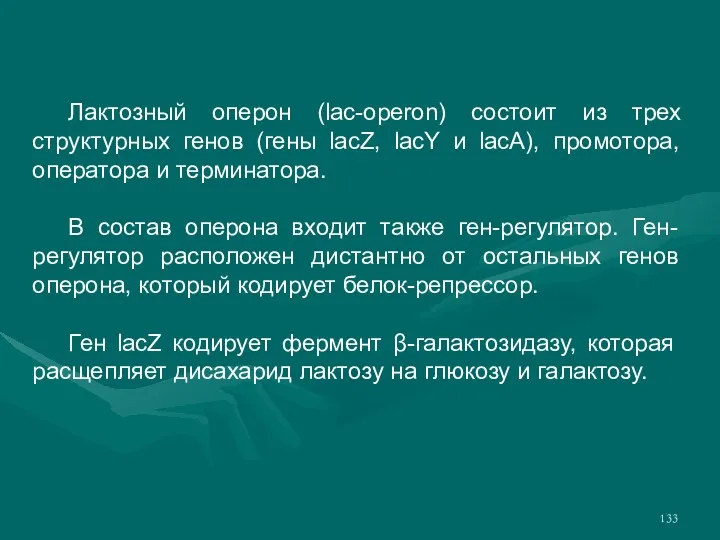 Лактозный оперон (lac-operon) состоит из трех структурных генов (гены lacZ,