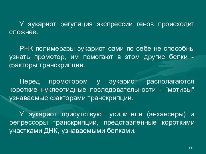 У эукариот регуляция экспрессии генов происходит сложнее. РНК-полимеразы эукариот сами