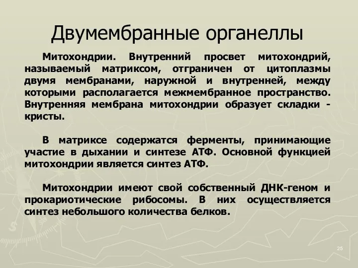 Двумембранные органеллы Митохондрии. Внутренний просвет митохондрий, называемый матриксом, отграничен от