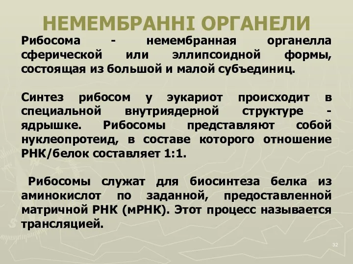 Рибосома - немембранная органелла сферической или эллипсоидной формы, состоящая из