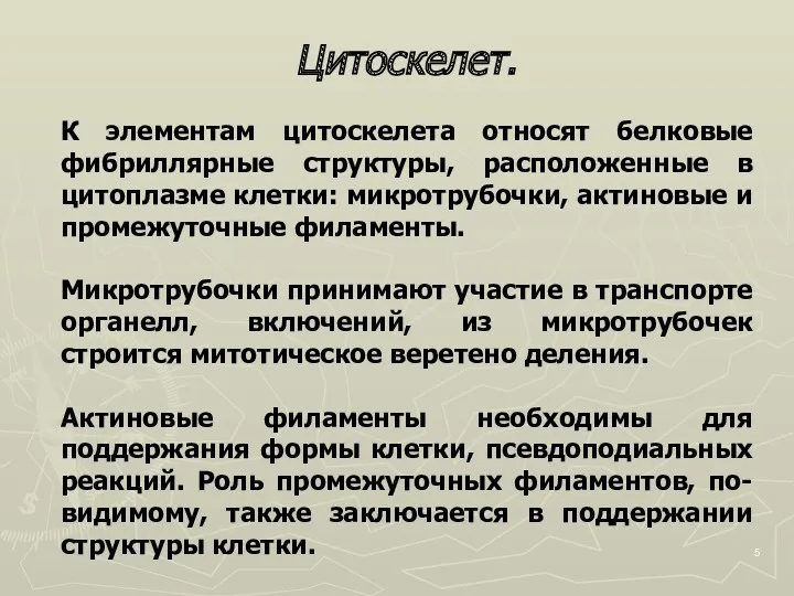 Цитоскелет. К элементам цитоскелета относят белковые фибриллярные структуры, расположенные в