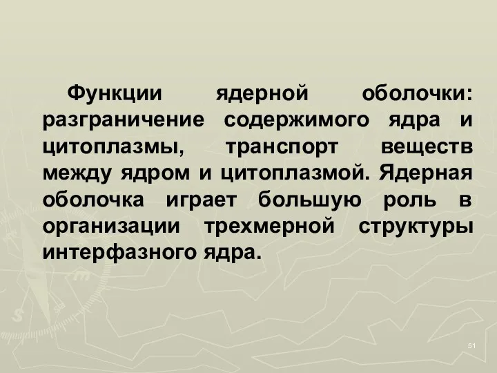 Функции ядерной оболочки: разграничение содержимого ядра и цитоплазмы, транспорт веществ