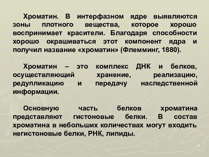 Хроматин. В интерфазном ядре выявляются зоны плотного вещества, которое хорошо