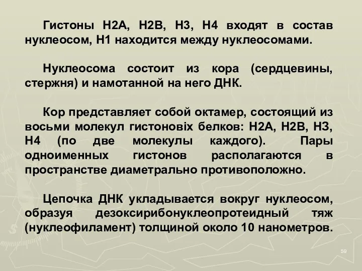 Гистоны Н2А, Н2В, Н3, Н4 входят в состав нуклеосом, Н1