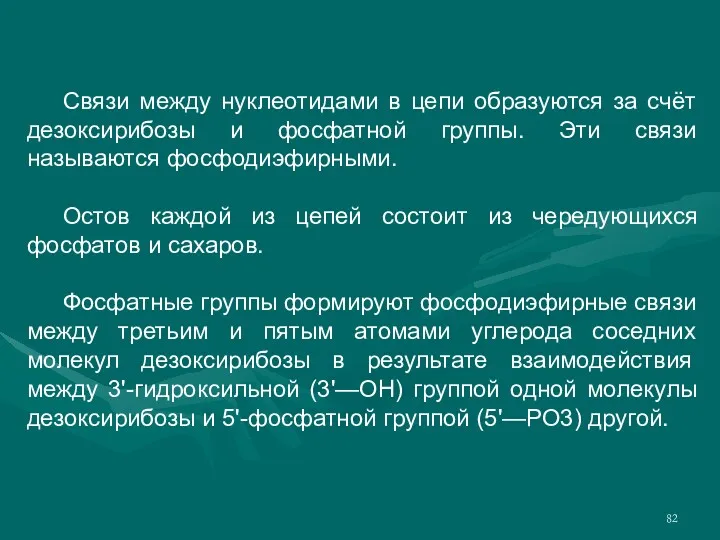 Связи между нуклеотидами в цепи образуются за счёт дезоксирибозы и