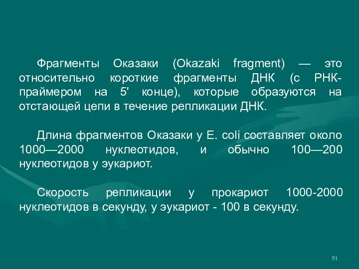 Фрагменты Оказаки (Okazaki fragment) — это относительно короткие фрагменты ДНК