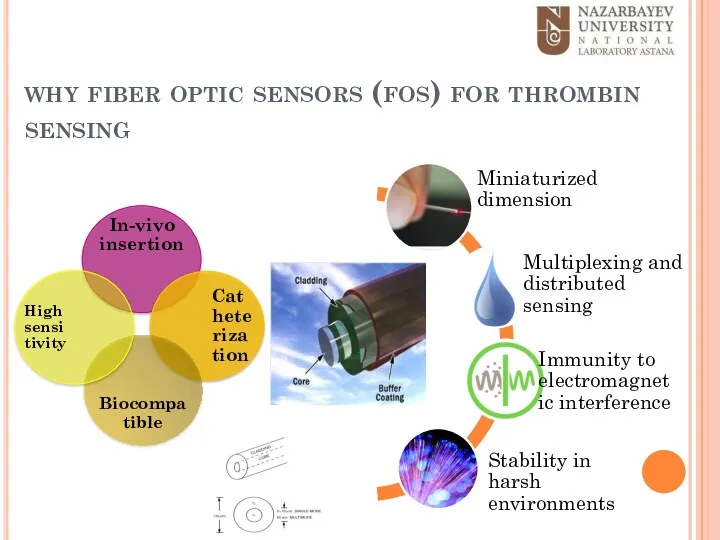 why fiber optic sensors (fos) for thrombin sensing