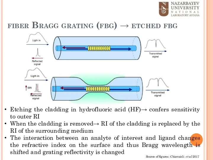 fiber Bragg grating (fbg) → etched fbg Source of figures: