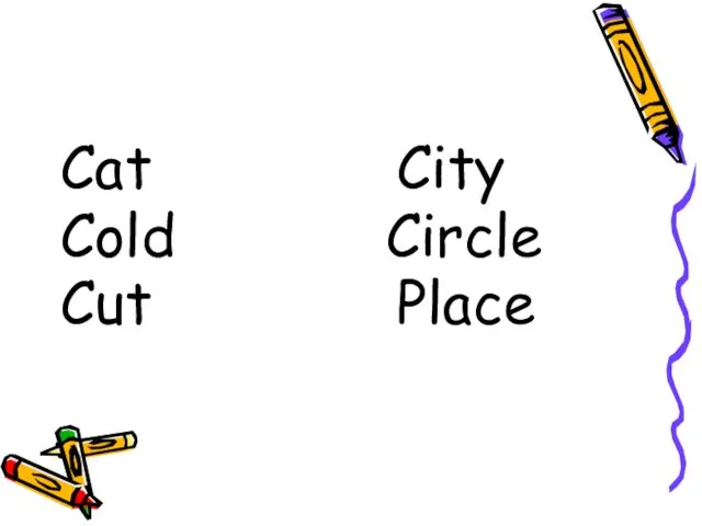 Cat City Cold Circle Cut Place