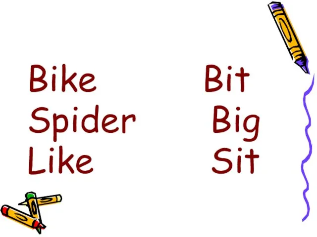 Bike Bit Spider Big Like Sit