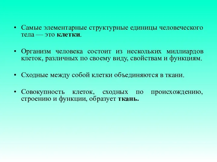 Самые элементарные структурные единицы человеческого тела — это клетки. Организм