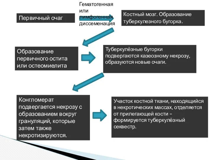 Первичный очаг Гематогенная или лимфогенная диссеменация Костный мозг. Образование туберкулезного