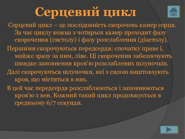 Серцевий цикл Серцевий цикл – це послідовність скорочень камер серця.