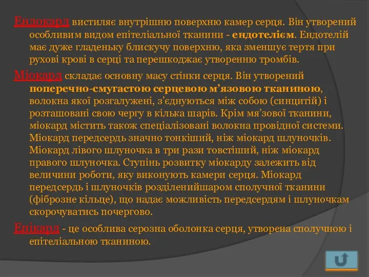 Ендокард вистиляє внутрішню поверхню камер серця. Він утворений особливим видом