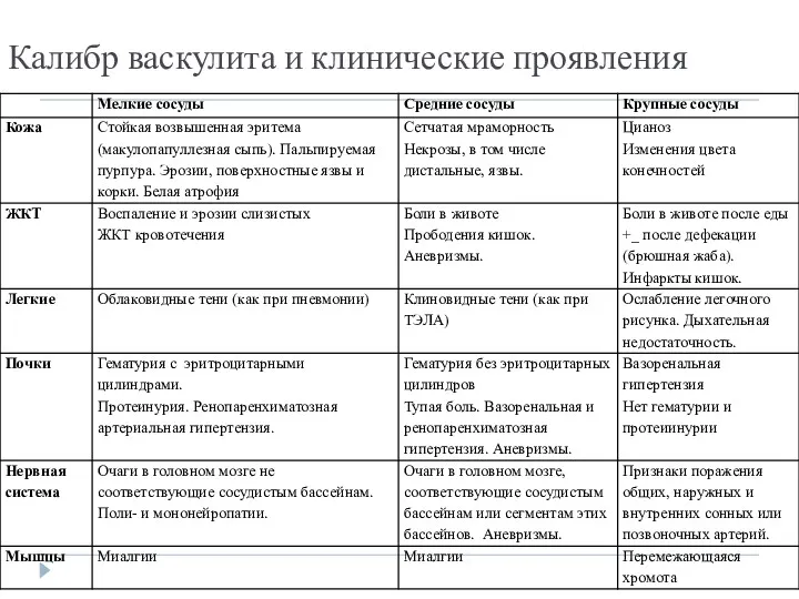 Калибр васкулита и клинические проявления