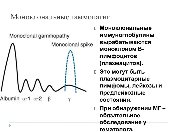 Моноклональные гаммопатии Моноклональные иммуноглобулины вырабатываются моноклоном В-лимфоцитов (плазмацитов). Это могут