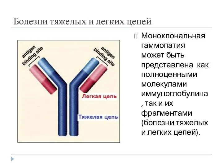 Болезни тяжелых и легких цепей Моноклональная гаммопатия может быть представлена