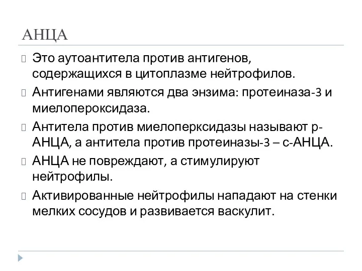 АНЦА Это аутоантитела против антигенов, содержащихся в цитоплазме нейтрофилов. Антигенами