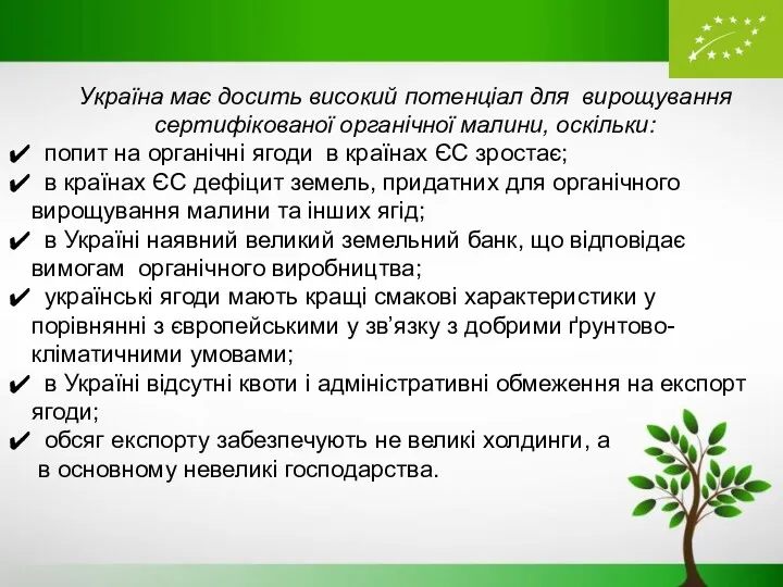 Україна має досить високий потенціал для вирощування сертифікованої органічної малини,