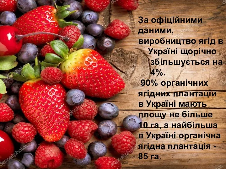 За офіційними даними, виробництво ягід в Україні щорічно збільшується на