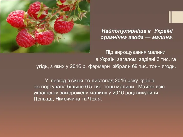 Найпопулярніша в Україні культурна органічна ягода — малина. Під вирощування