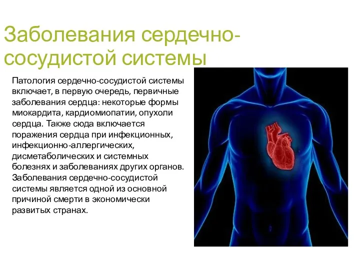 Заболевания сердечно-сосудистой системы Патология сердечно-сосудистой системы включает, в первую очередь,