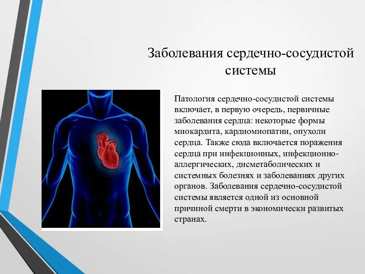 Заболевания сердечно-сосудистой системы Патология сердечно-сосудистой системы включает, в первую очередь, первичные заболевания сердца: