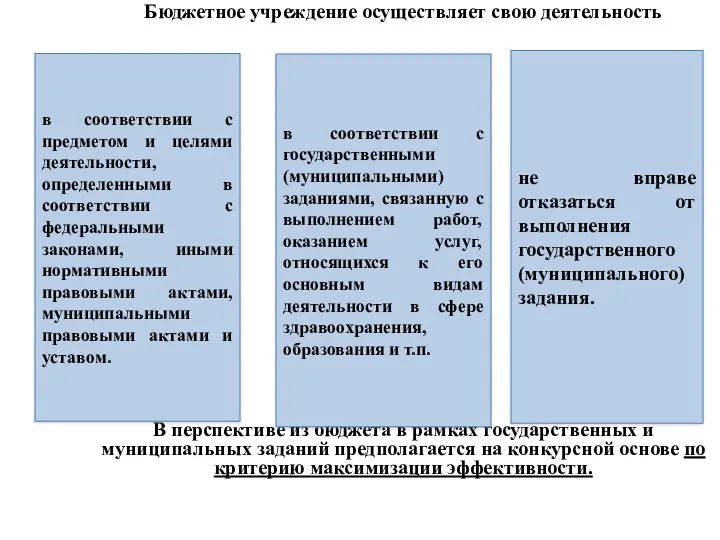 Бюджетное учреждение осуществляет свою деятельность В перспективе из бюджета в