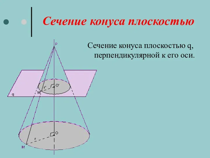 Сечение конуса плоскостью Сечение конуса плоскостью q, перпендикулярной к его оси.