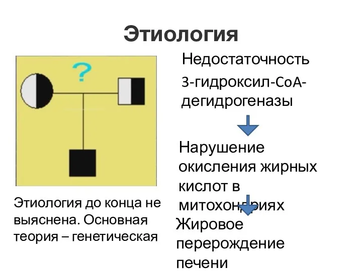 Этиология Недостаточность 3-гидроксил-CoA-дегидрогеназы Нарушение окисления жирных кислот в митохондриях Жировое