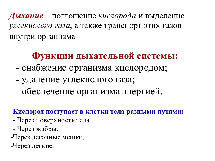 Дыхание – поглощение кислорода и выделение углекислого газа, а также